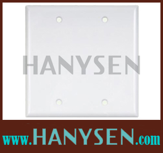 Two-Gang-Blank-Wallplate